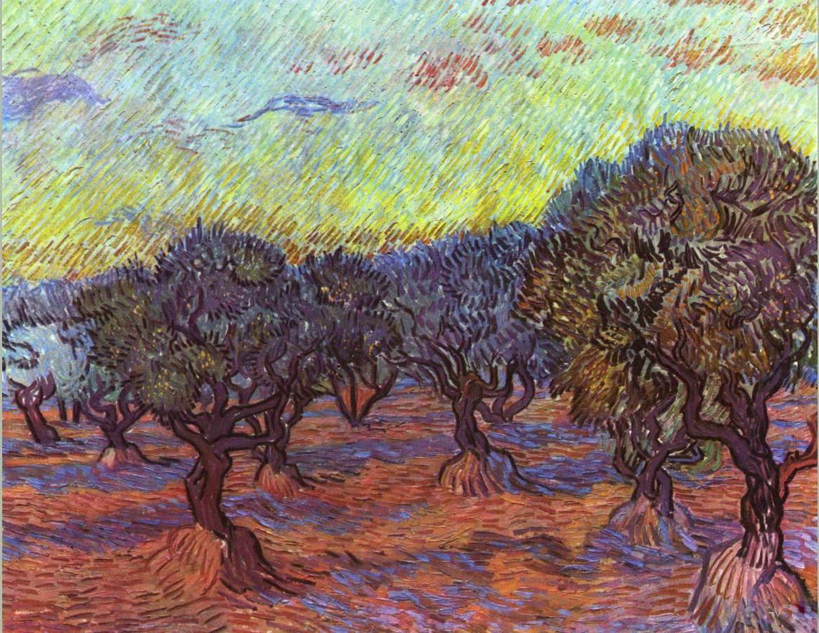 Vincent van Gogh Olive grove